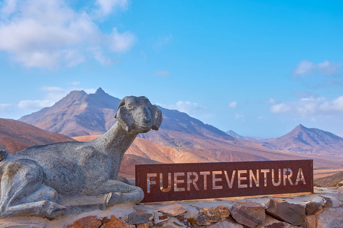 ¿Qué puedes hacer en Fuerteventura?