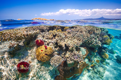 Mayotte: la laguna más grande del Océano Índico para visitar