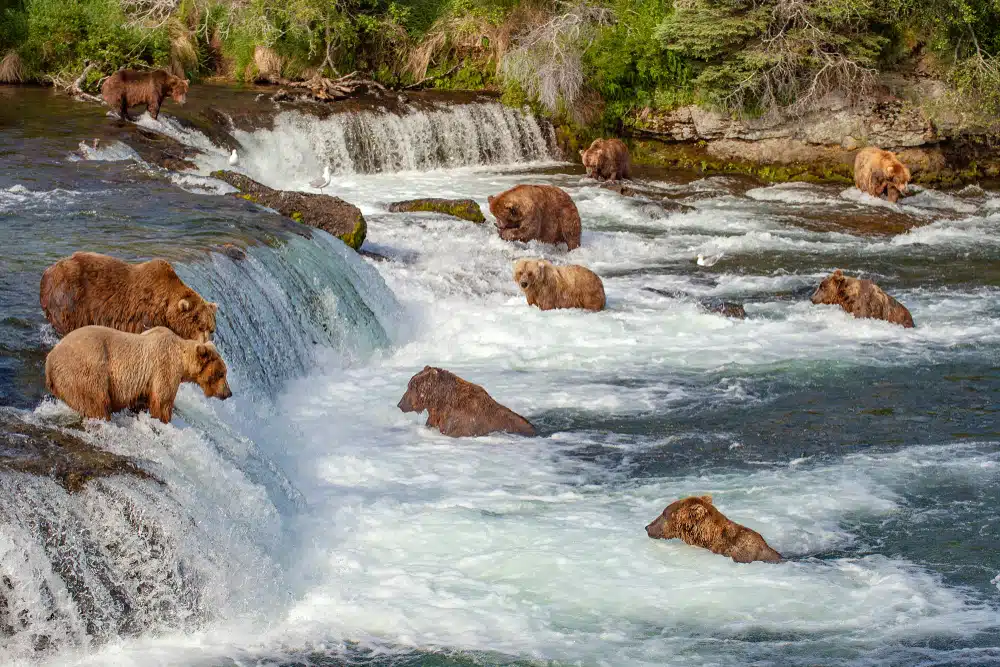 Alaska: 5 lugares turísticos dignos de ver Alaska: 5 lugares turísticos dignos de ver