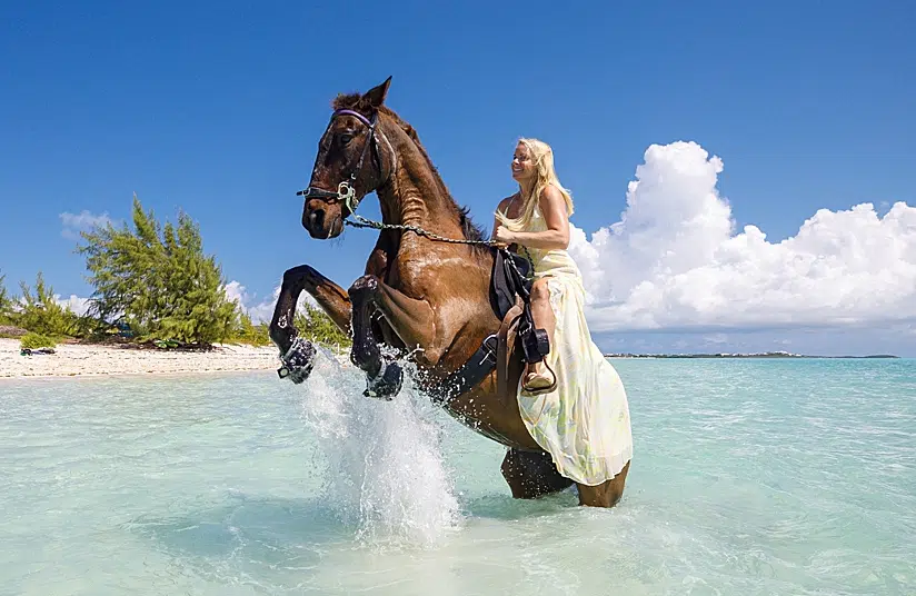 Islas Turcas y Caicos: ¿qué visitar, qué hacer, cuándo viajar?