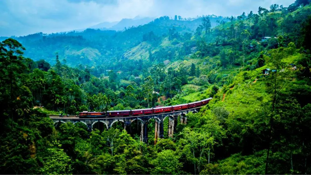 ¿Cuándo ir a Sri Lanka? Clima, tiempo, precio. ¿Cuándo ir a Sri Lanka? Clima, tiempo, precio.
