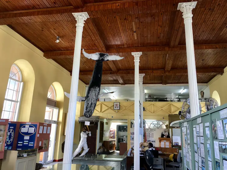 Visitar Antigua y Barbuda: ¿Qué hacer? Visitar Antigua y Barbuda: ¿Qué hacer?