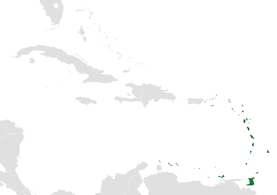 El Caribe: Antillas Menores y Mayores El Caribe: Antillas Menores y Mayores